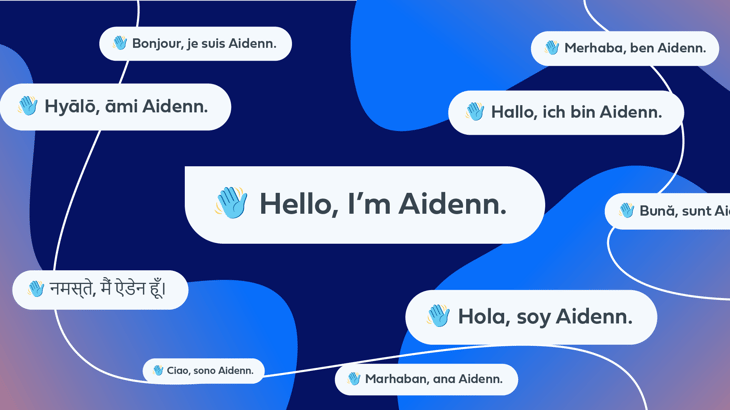 Aidenn AI Explainer-08