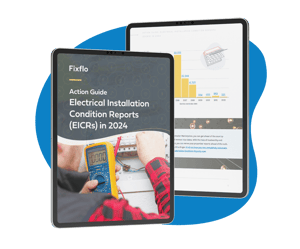 Action guide EICRs 2024_LP