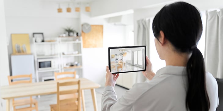 Aidenn Inventory and Inspect