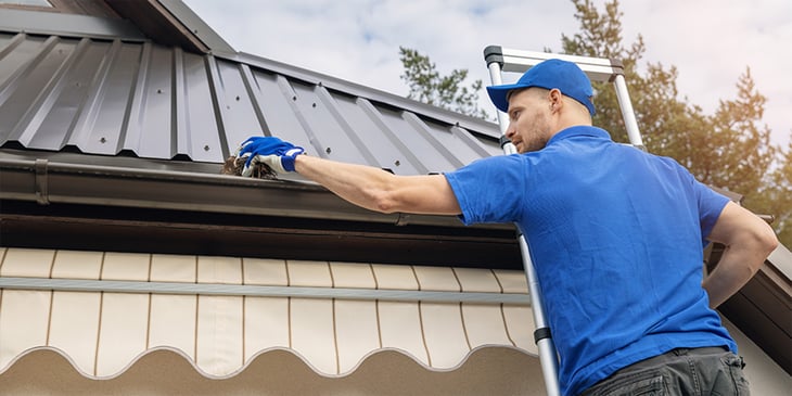 Gutter maintenance- The small task that prevents big headaches