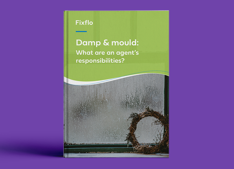 Damp and Mould: What Are An Agent's Responsibilities?