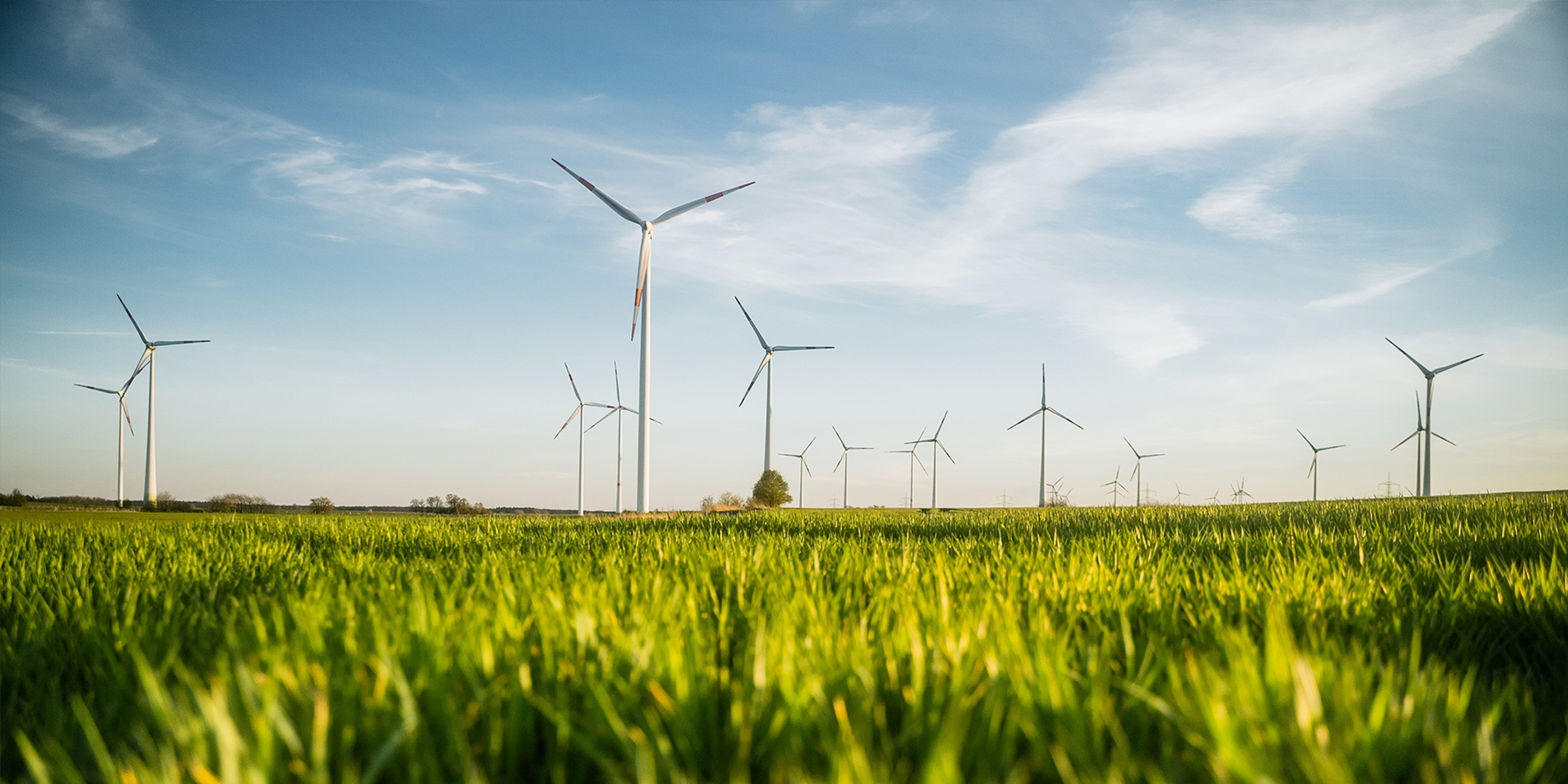 New minimum EPC rating: why you should engage homeowners now