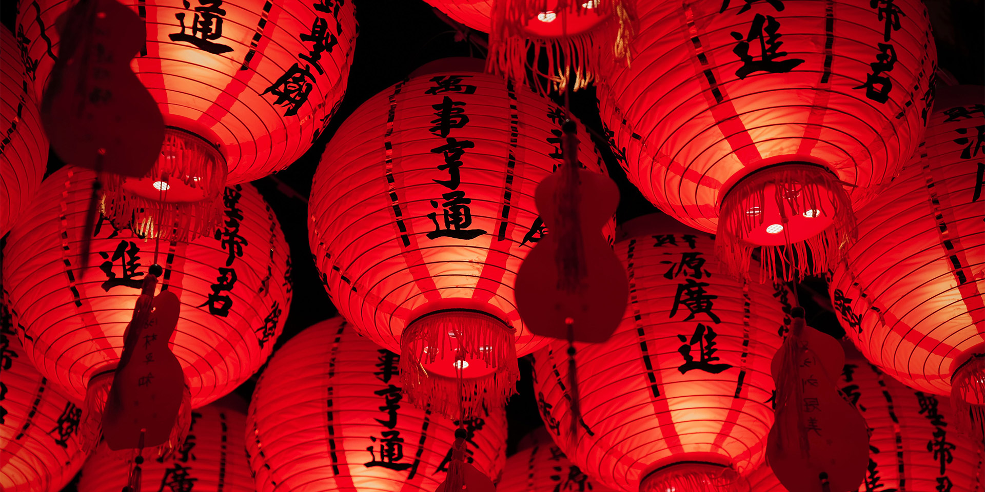 How many Fixflo occupiers speak Chinese? [Data]