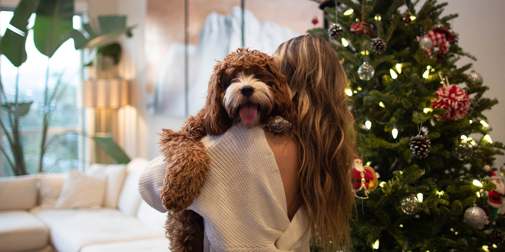 Tips for Your Tenants Over Christmas!