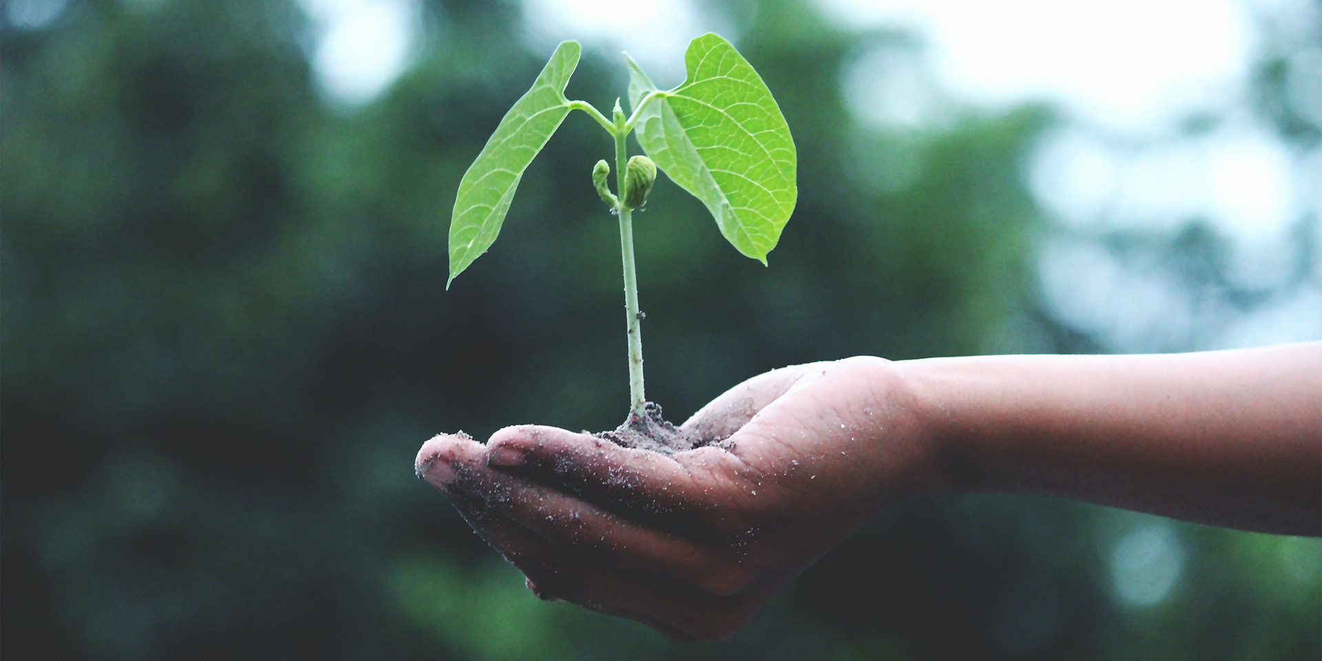 5 Tips for Successful Property Franchising