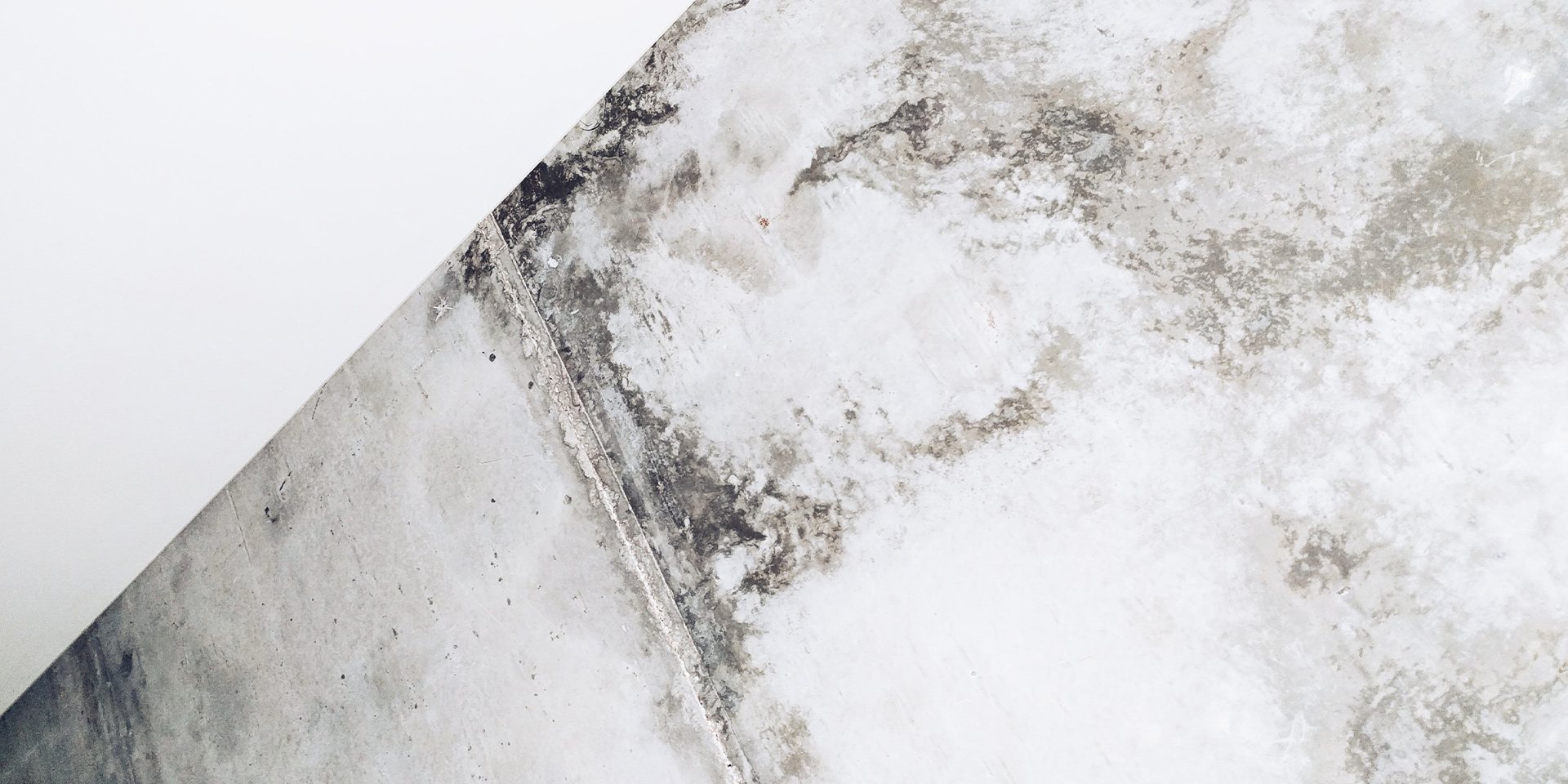 How to Prevent Damp and Mould