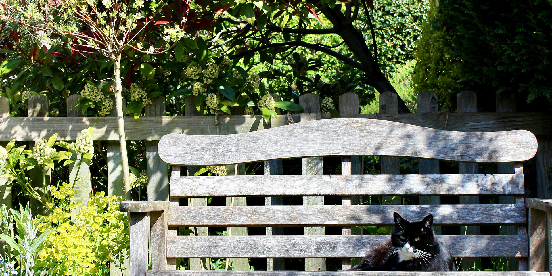 6 Summer Maintenance Tips