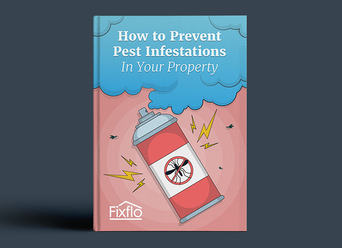 How to Prevent Pest Infestations in Your Property