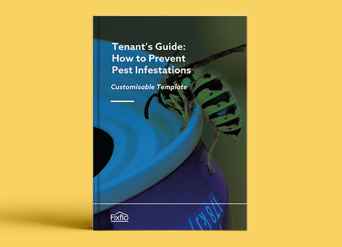 Tenant's Guide: How to Prevent Pest Infestations