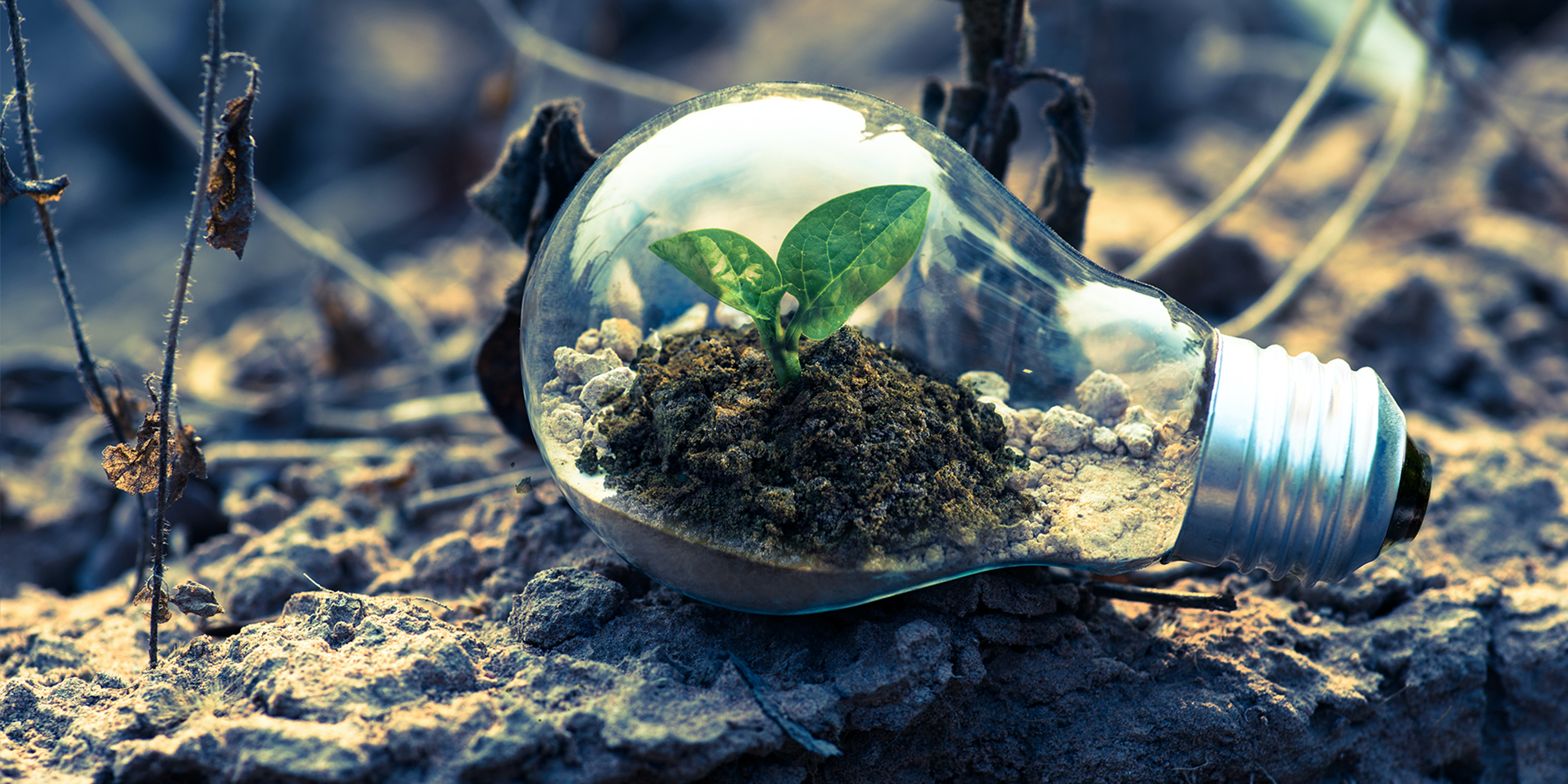 What's stopping block managers and leaseholders from moving to renewable energy?