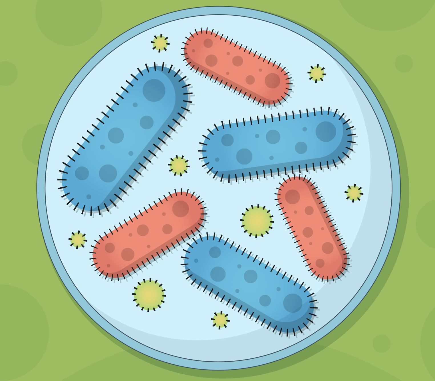 How to Prevent Legionella in Your Property