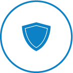Solid Icon_Shield