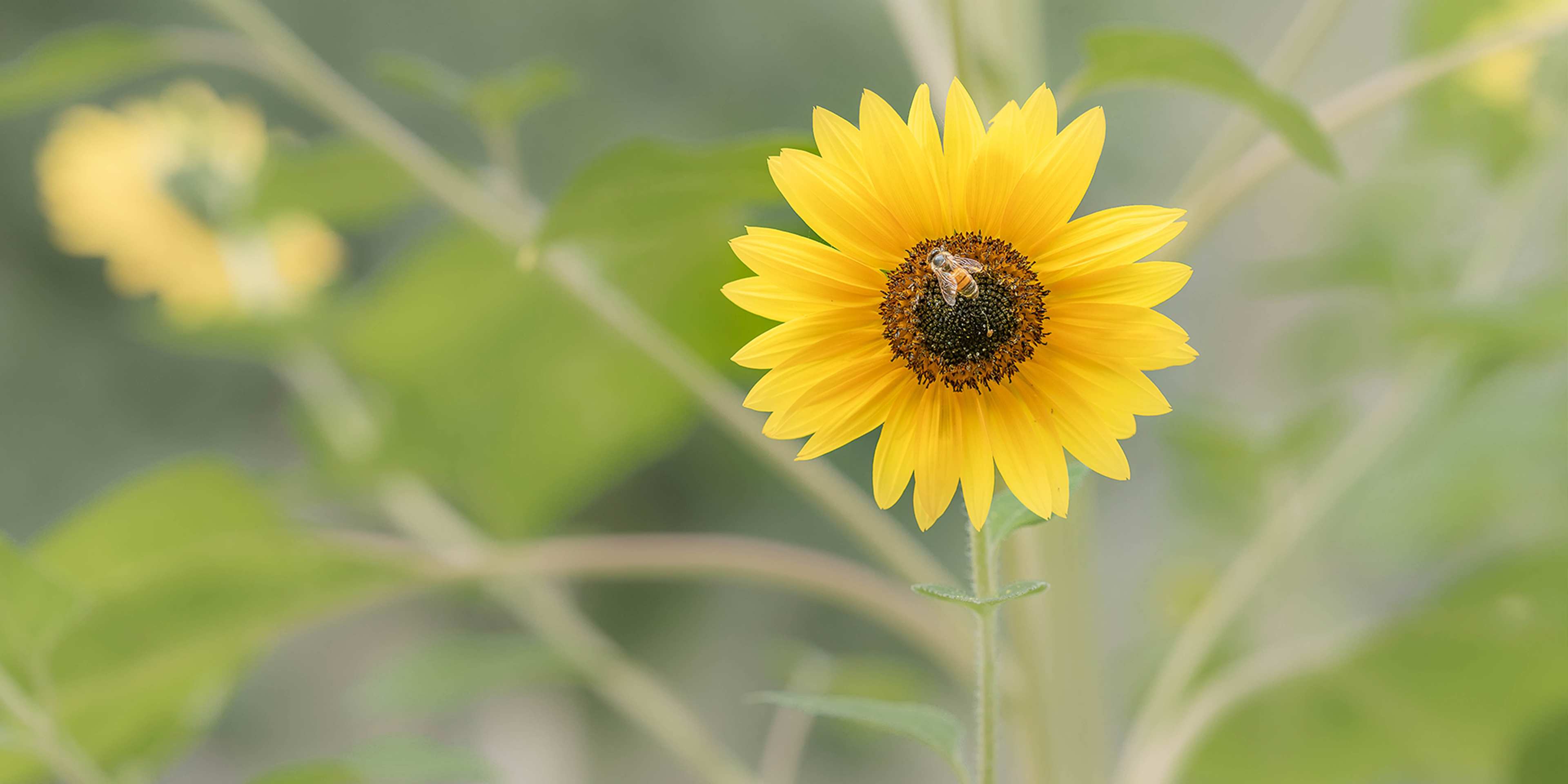 Block management in summer: How to keep your property safe in the sun