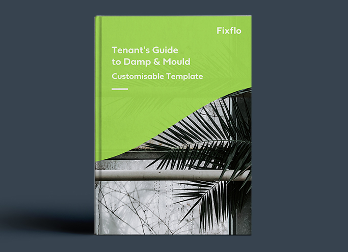 Customisable Flyer: Tenant's Guide to Damp & Mould