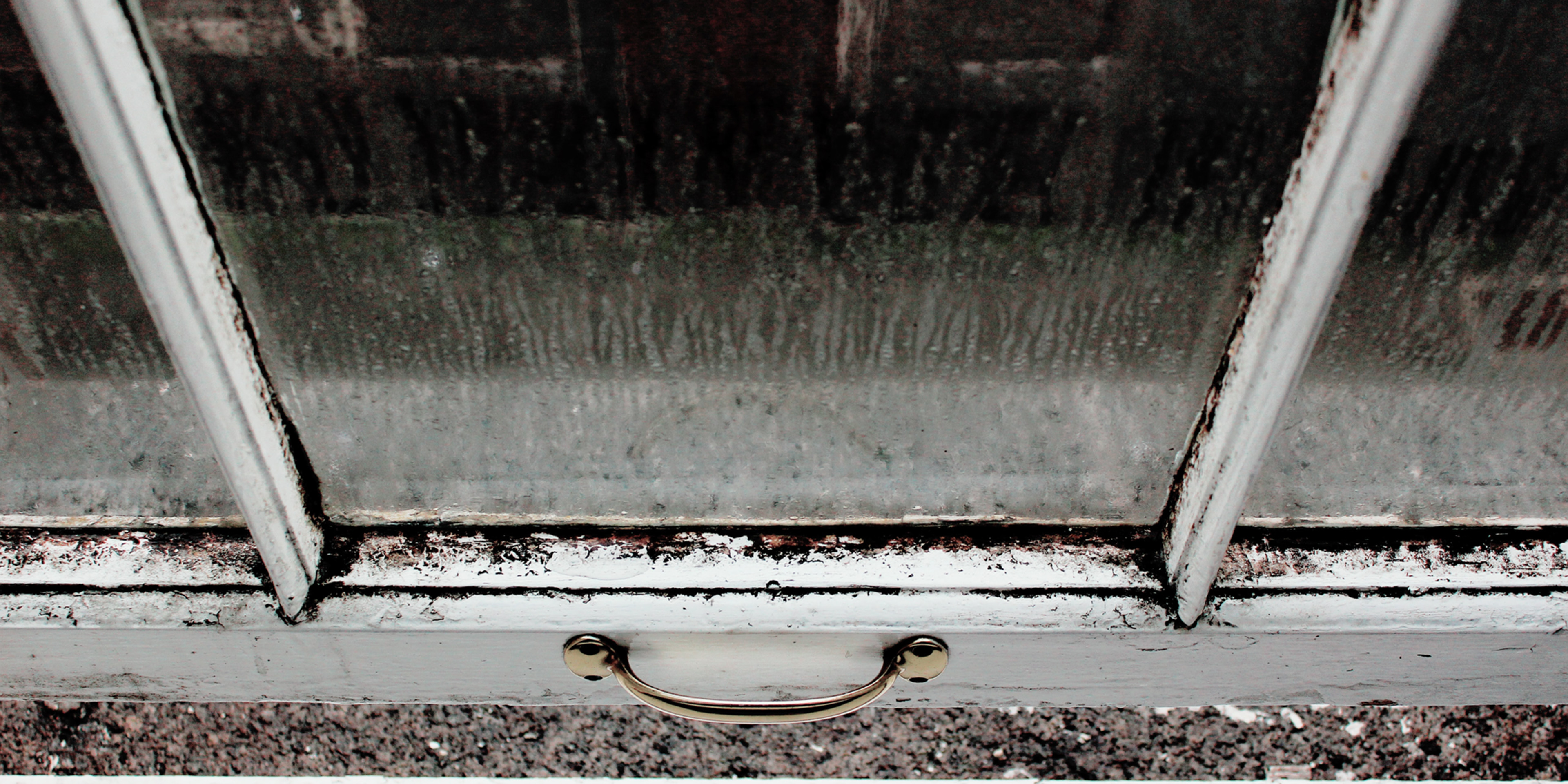 Landlord responsibility: damp and mould in social housing