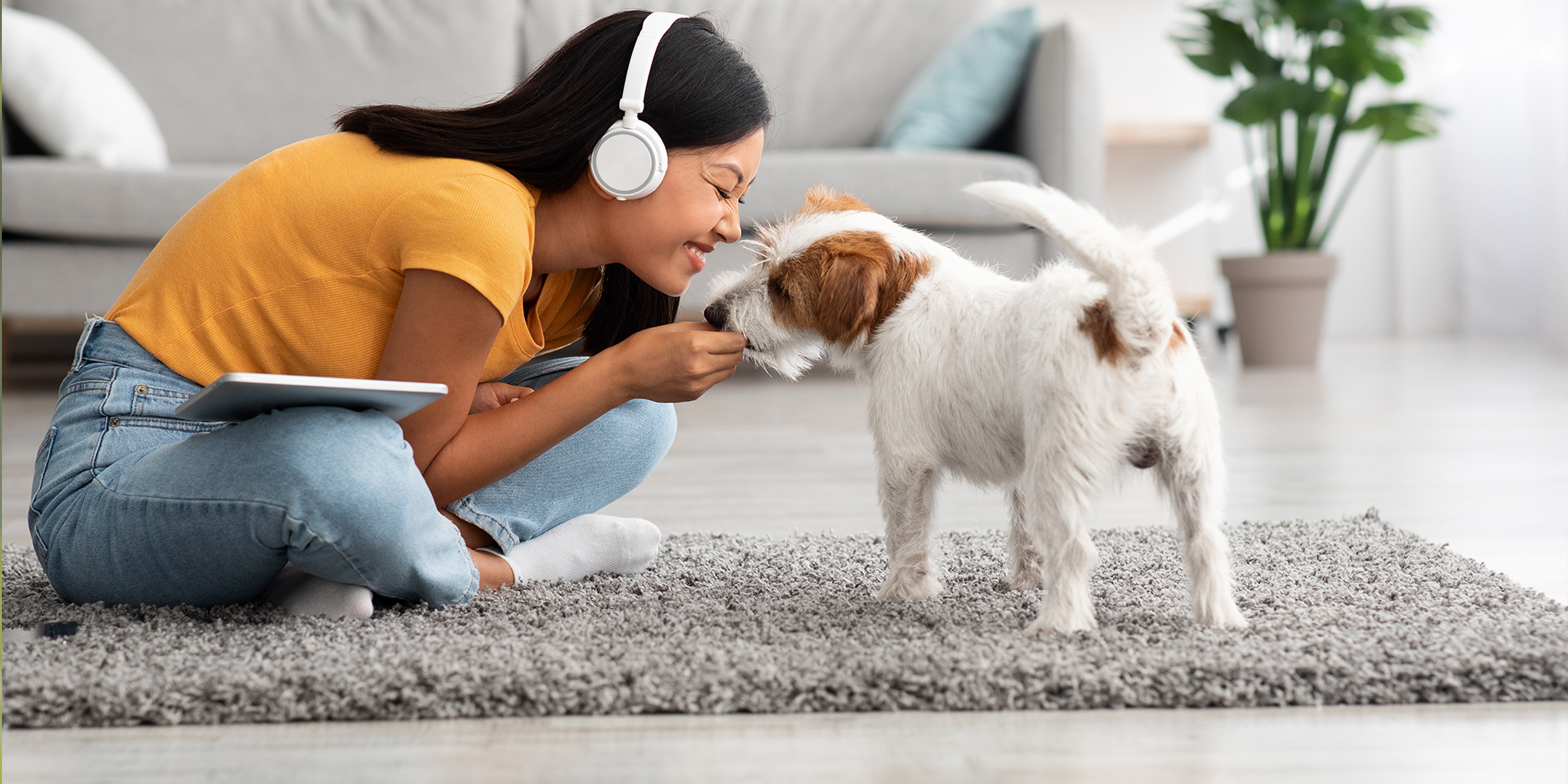 Pet Ownership in UK Rental Properties: Navigating the Upcoming Renters (Reform) Bill